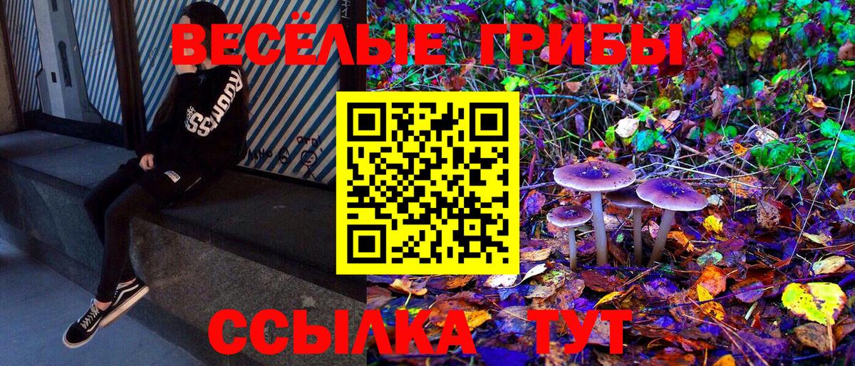 Галлюциногенные грибы прущие грибы  Вход с VPN  Сегежа 